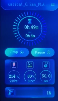 LCD print progress view